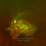 o01-ti02-826-20100324-003