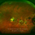 O02-TI02-4417-20111012-996