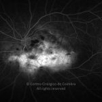 o02-ti07-826-20100324-006