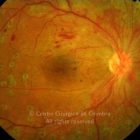 o01-ti02-23032-20080408-001
