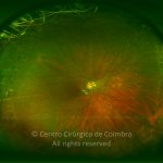o02-ti02-132323-20120131-001