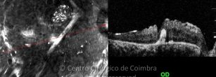 01-117492-20090430-003