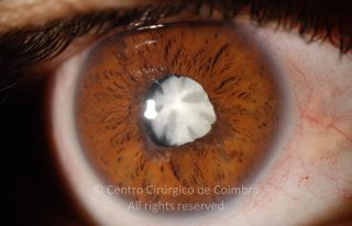 15-117492-20091006-001-OD
