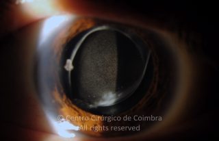 15-117492-20120514-001
