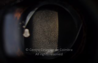 15-117492-20120514-002