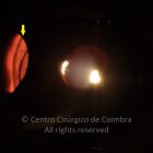 15-2336490-20240228-002