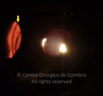 15-2336490-20240228-002