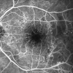 33-2330280-20230626-001