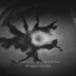 33-2223134-20160907-002