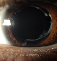 15-13041-20250307-001