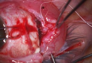 1-2152181-20121226-002