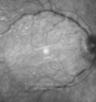 11-2152181-20130108-07-IR