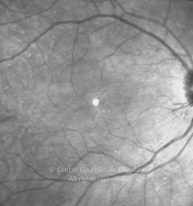 11-2152181-20130117-009-IR