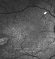 11-2322380-20230908-003-IR