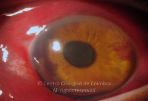 15-2152181-20121222-001