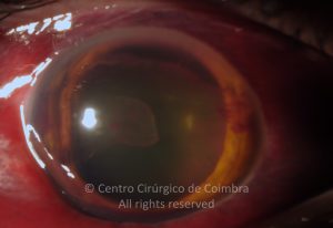 15-2152181-20121222-003