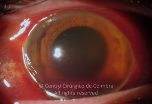 15-2152181-20121223-001-1