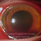 15-2152181-20121223-001