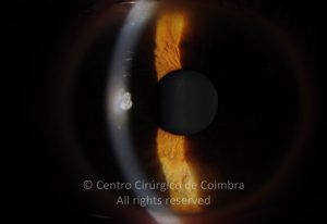 15-2152181-20130117-002