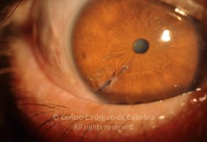 LEAD Technologies Inc. V1.01