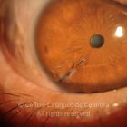 15-2322380-20220830-001