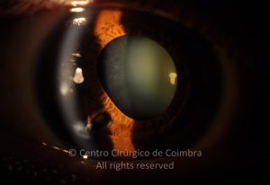 LEAD Technologies Inc. V1.01