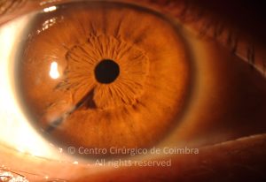 LEAD Technologies Inc. V1.01