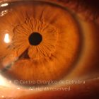 15-2322380-20230908-002