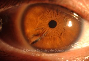 LEAD Technologies Inc. V1.01