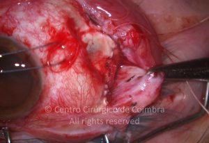 2-2152181-20121226-003