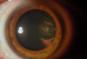 3-2152181-20130107-001