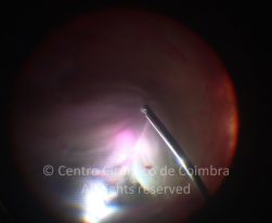 33-2152181-20130107-01-1