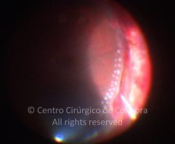 33-2152181-20130107-01-3