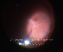 33-2152181-20130107-01-4