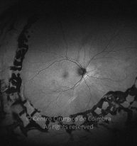 33-2152181-20211216-002-autof