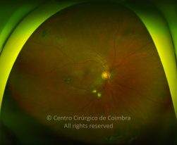 LEAD Technologies Inc. V1.01